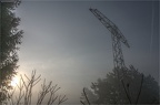 Morgennebel