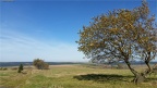 Bäume im Herbst