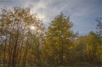 Herbst