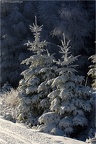 Winterausflug 2015 01 24-0017
