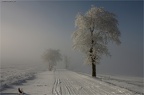 winterausflug 2015 01 24-0026