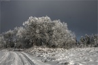 winterausflug 2015 01 24-0037-hdr-mantiuk06