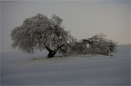 winterausflug 2015 01 24-0042