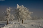 winterausflug 2015 01 24-0044