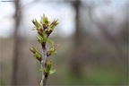 Frühling