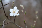 Frühling