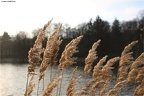 img 6157