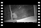 kleine Maus im Shelter 1