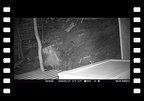 kleine Maus im Shelter 2